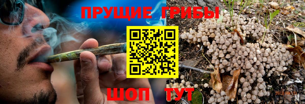 Петропавловск-Камчатский  Галлюциногенные грибы MAGIC MUSHROOMS  цена наркотик  Вход с VPN 