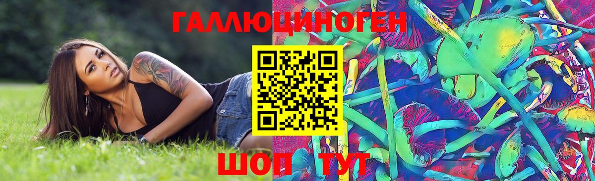 Псилоцибиновые грибы Cubensis Петропавловск-Камчатский