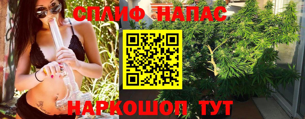 Бошки Шишки гибрид Петропавловск-Камчатский